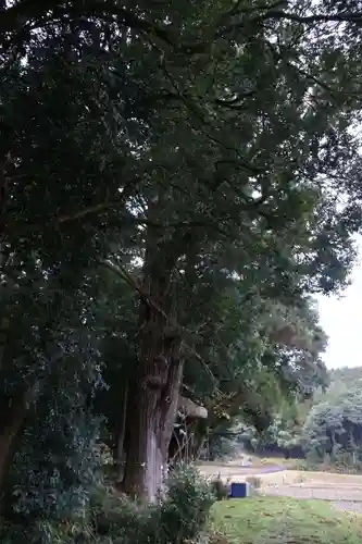 粟鹿神社(兵庫県)