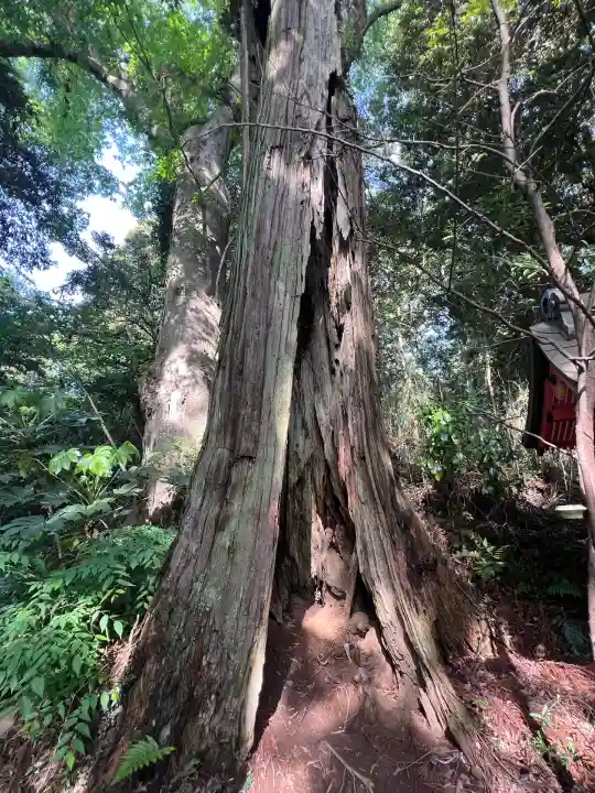 香取神宮(千葉県)
