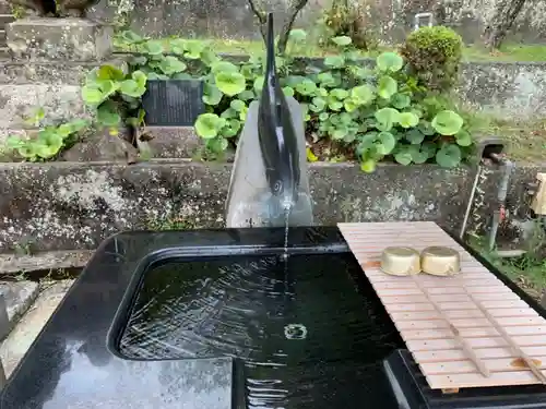 大仁神社の手水