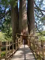 戸隠神社中社(長野県)