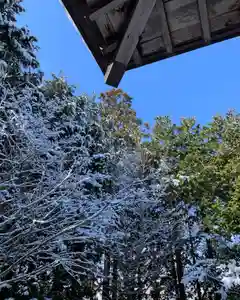 滑川神社 - 仕事と子どもの守り神の自然(2022年02月11日(金) 10時47分25秒投稿)