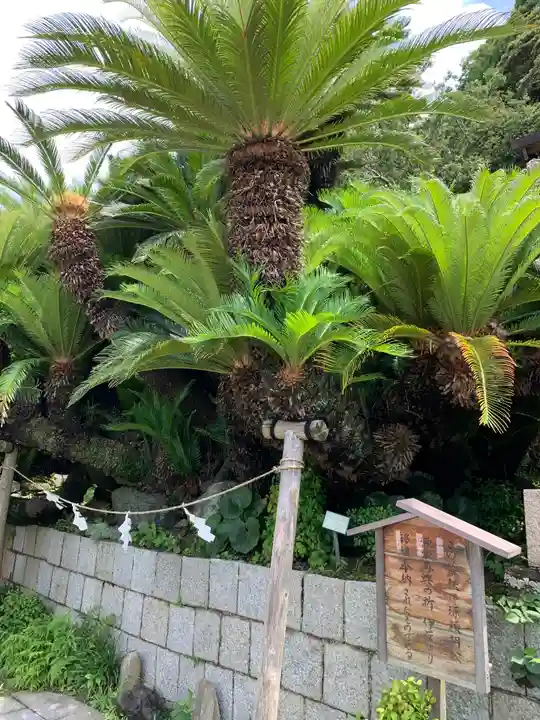 叶神社(東叶神社)の自然