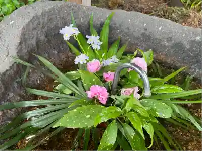 愛宕神社(福島県)