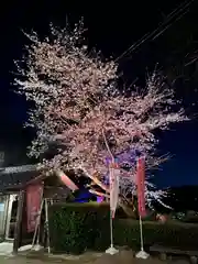 牟禮山観音禅寺(滋賀県)