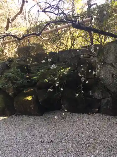 報国寺(神奈川県)