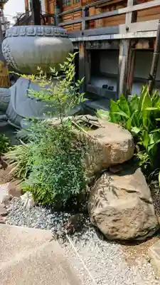 本性寺の手水舎