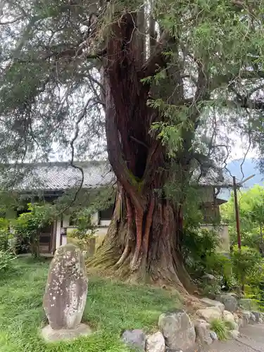 崇禅寺(群馬県)
