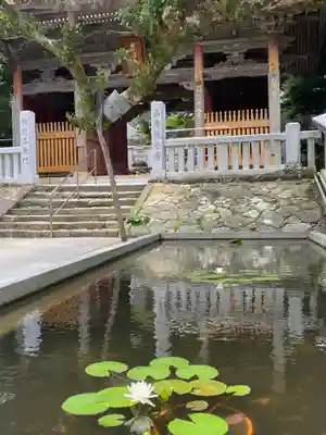 金剛福寺(高知県)