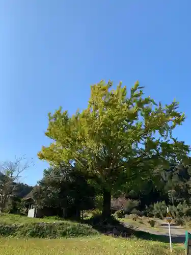 山神社の庭園