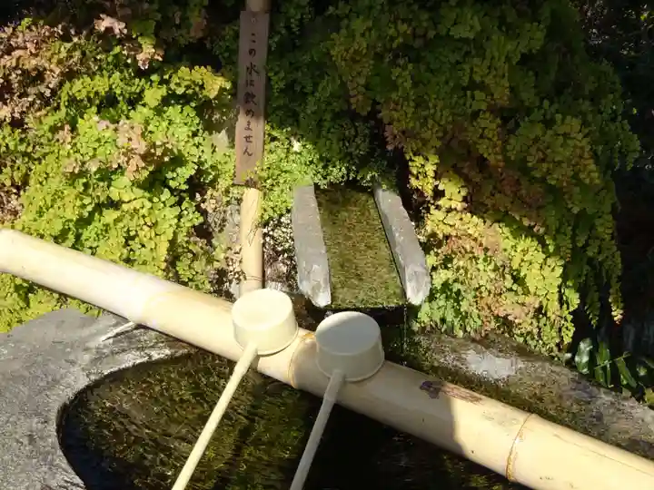 妙蓮寺の手水舎