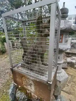 猿田彦神社(滋賀県)