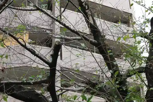 くまくま神社(導きの社 熊野町熊野神社)(東京都)