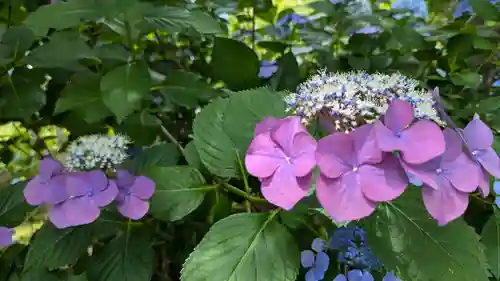 正法寺(京都府)