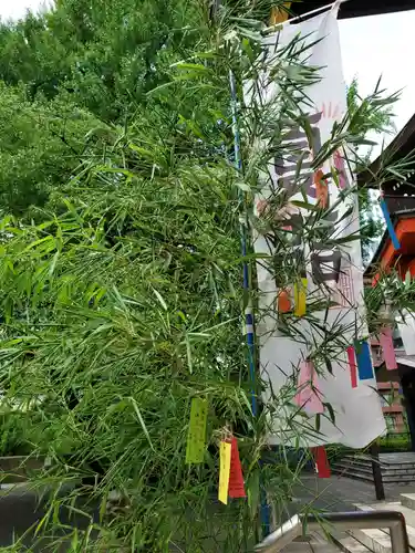 熊野神社の御朱印