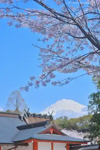 富士山本宮浅間大社(静岡県)