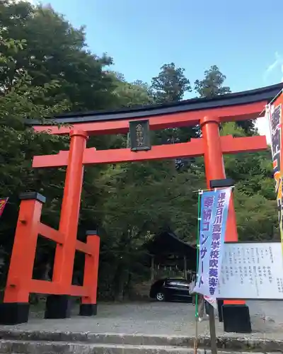 金櫻神社の鳥居