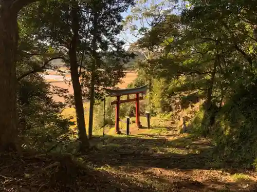 川戸神社の鳥居