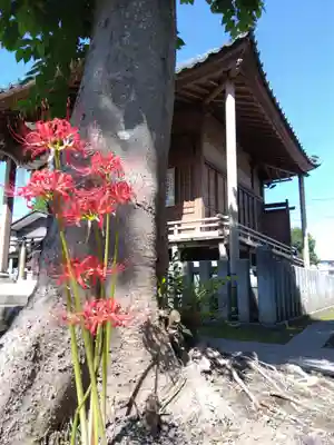 八幡神社(福井県)
