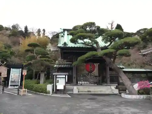 長谷寺の山門