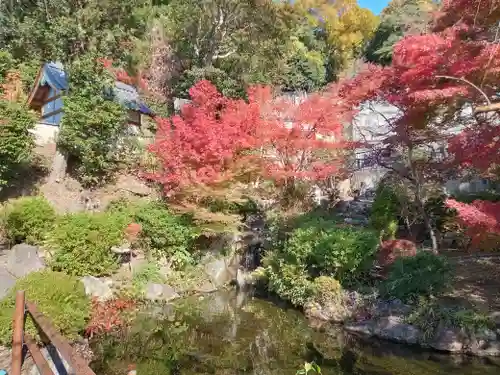 慈眼寺(大阪府)
