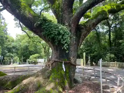 伊曽乃神社(愛媛県)