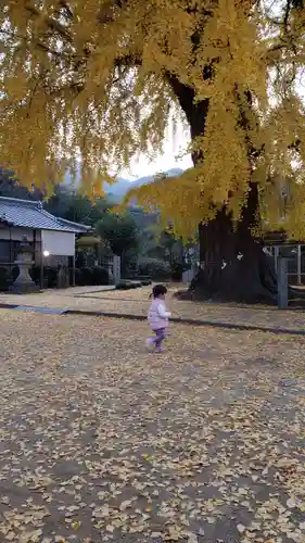 丹生酒殿神社の自然