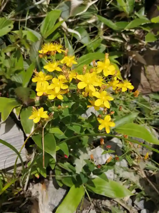 飯森神社奥社(長野県)