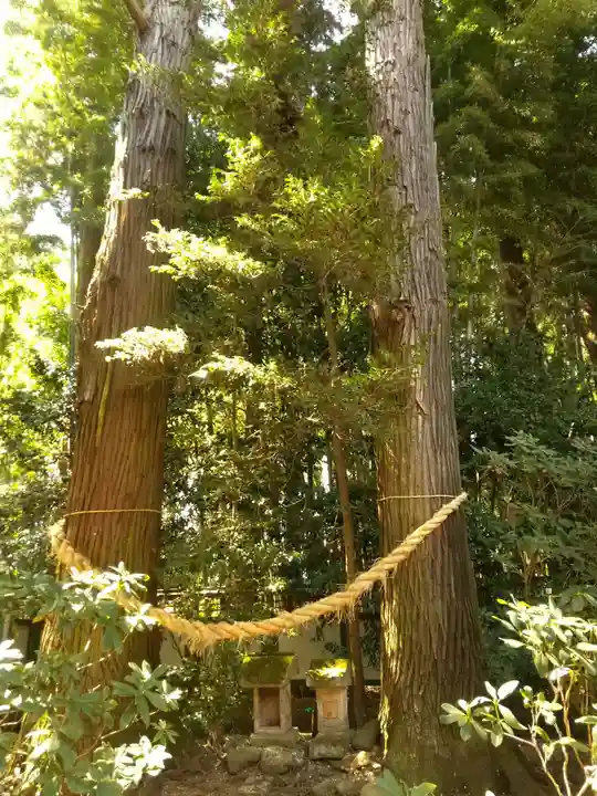 光丸山 法輪寺(栃木県)