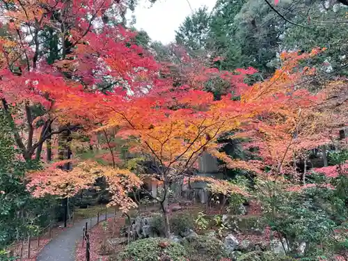 金剛輪寺の自然