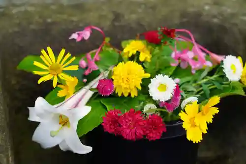 熊野福藏神社の手水