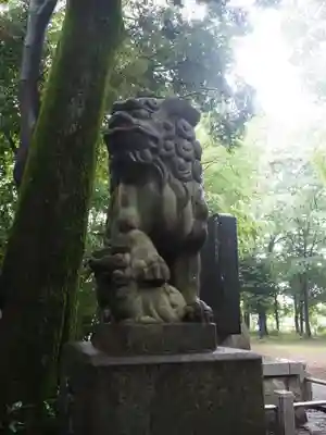 氷川神社(東京都)