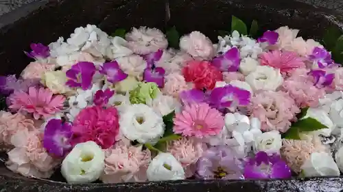 手稲神社(北海道)