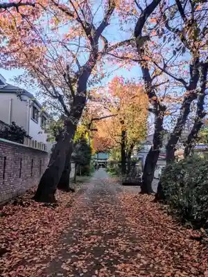 田端神社(東京都)