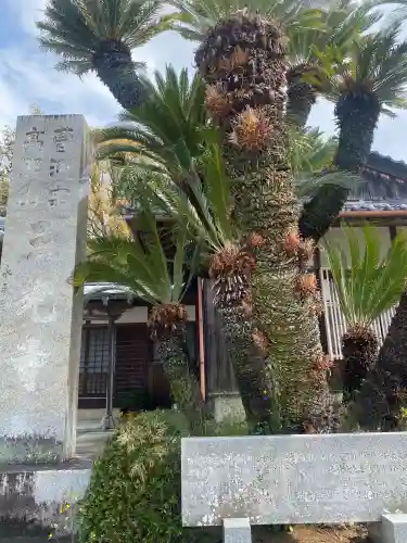 三光寺の{uncategorized: "未分類", other: "その他", undefined: "問題あり", building: "その他建物", grave: "お墓", sacred_gate: "鳥居", guardian: "狛犬", statue: "像", buddha: "仏像", history: "歴史", nature: "自然", garden: "庭園", animal: "動物", pagoda: "塔", temizu: "手水舎", mountain_gate: "山門・神門", sanctuary: "本殿・本堂", subordinate: "末社・摂社", art: "芸術", scenery: "景色", jizo: "地蔵", ema: "絵馬", goshuin: "御朱印", omikuji: "おみくじ", items: "授与品その他", amulet: "お守り", goshuincho: "御朱印帳", eats: "食事", festival: "お祭り", votive_dance: "神楽", shichigosan: "七五三参", wedding: "結婚式", experience: "体験その他", initially: "初詣", around: "周辺", anti_infection: "感染症対策"}