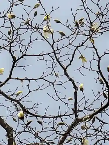 厚別神社(北海道)