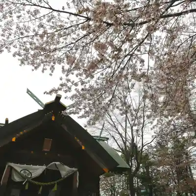 信濃神社の本殿・本堂