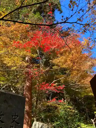 大矢田神社の自然