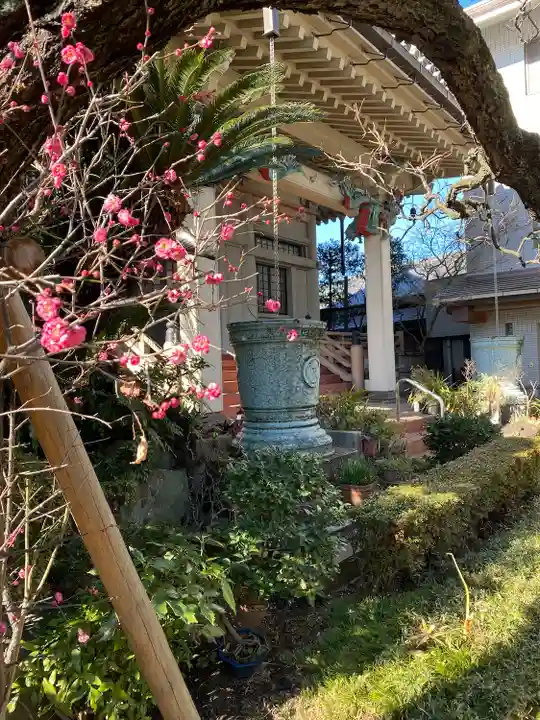 本龍寺(東京都)