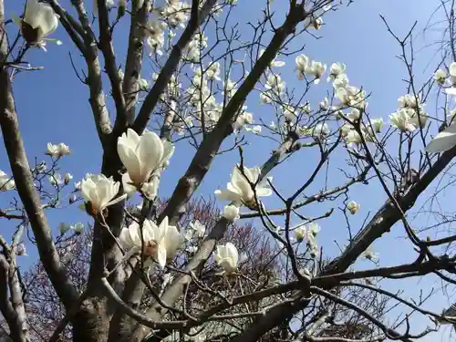 長谷寺(神奈川県)