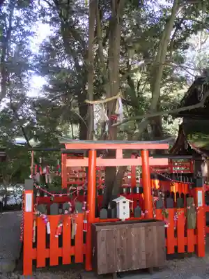 賀茂御祖神社（下鴨神社）(京都府)
