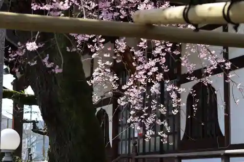 善龍寺(東京都)