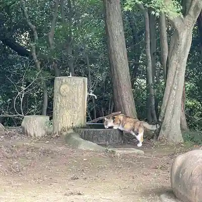 玉野御嶽神社(愛知県)
