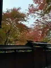 日枝神社(岐阜県)