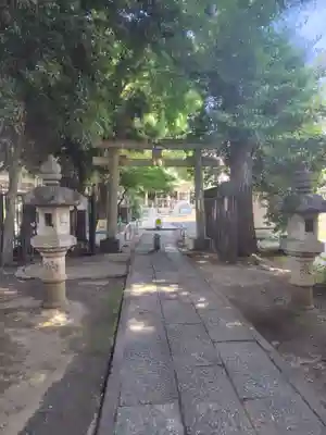 荻窪白山神社(東京都)