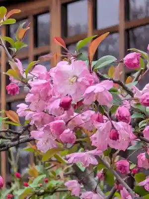 本郷氷川神社(東京都)