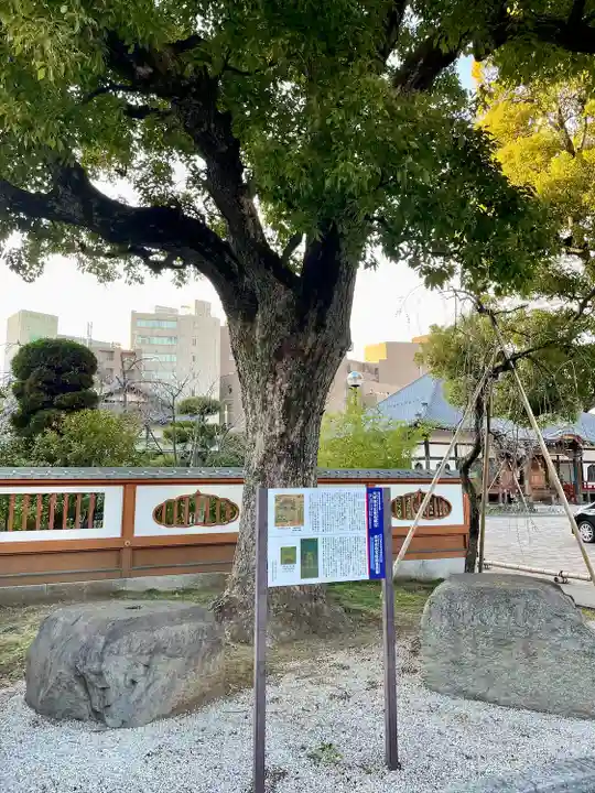 天妙国寺(東京都)