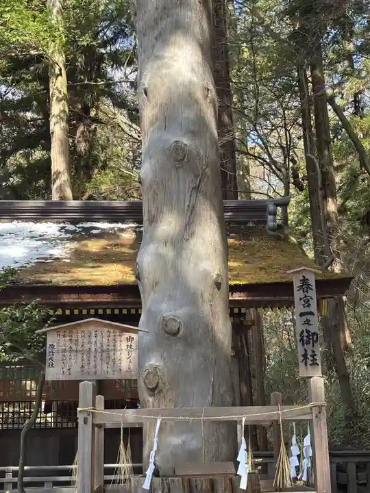 諏訪大社下社春宮(長野県)