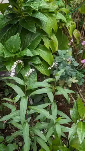 愛染寺(京都府)