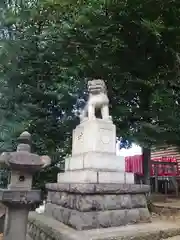 諏訪神社の狛犬