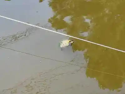 市原稲荷神社(愛知県)